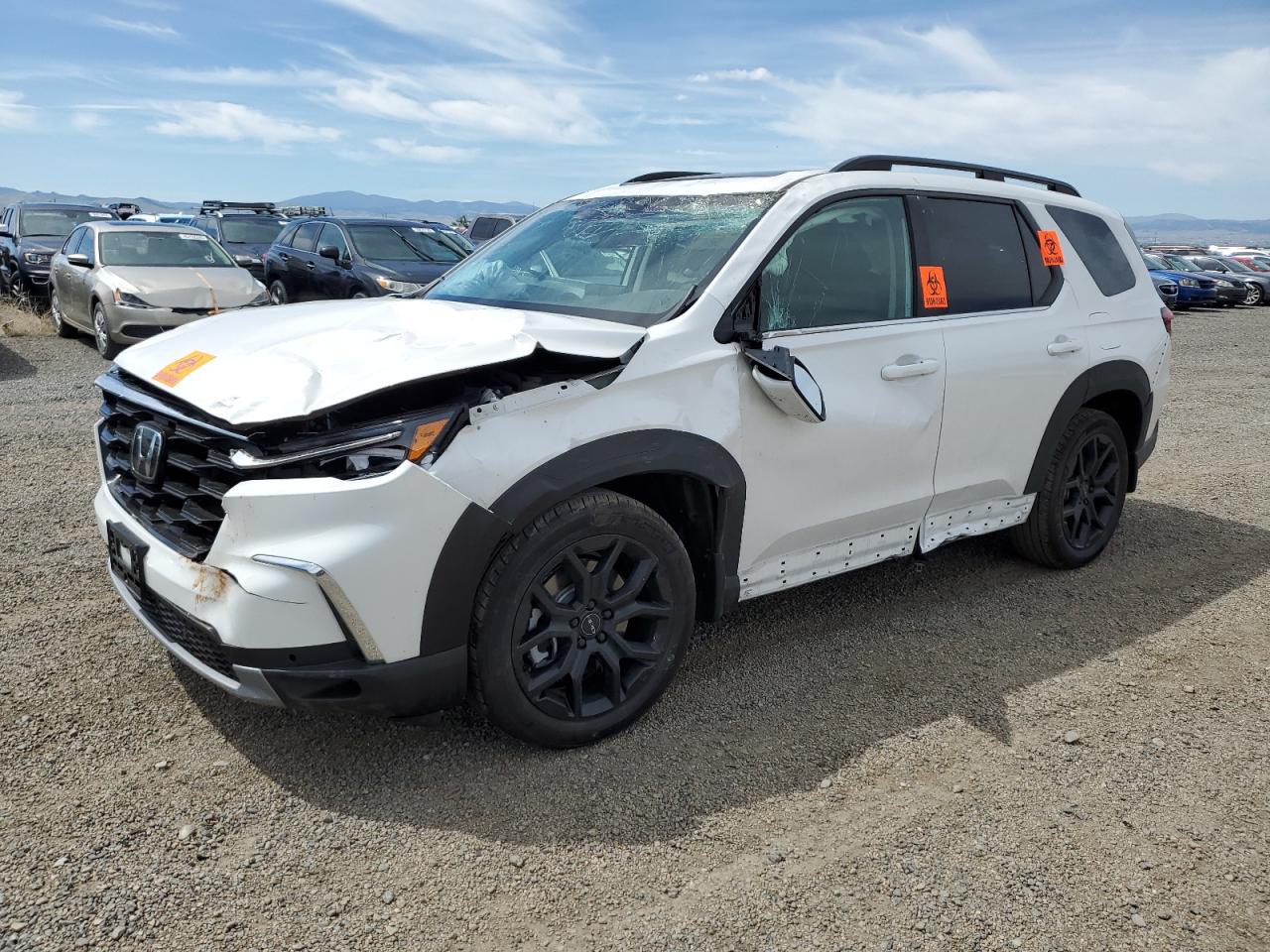 2025 Honda Pilot Touring en Venta en Helena, MT - Biohazard/Chemical