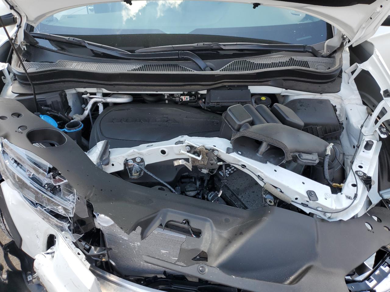 2022 Honda Passport Exl VIN: 5FNYF8H50NB027448 Lot: 56055505