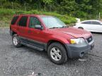 2005 Ford Escape Xlt იყიდება Marlboro-ში, NY - Rear End