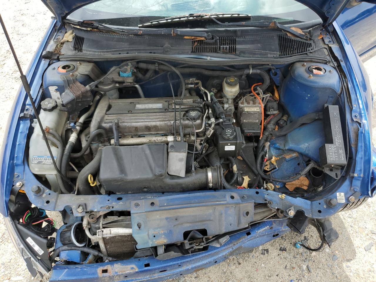2003 Chevrolet Cavalier Ls Sport VIN: 1G1JH52F337353347 Lot: 56690815