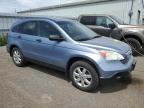 2007 HONDA CR-V EX for sale at Copart ON - TORONTO