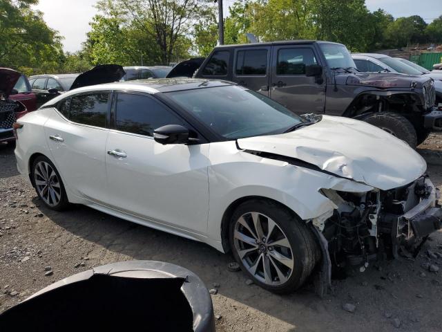  NISSAN MAXIMA 2023 White