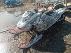 2021 Skidoo Freeride zu verkaufen in Anchorage, AK - Front End