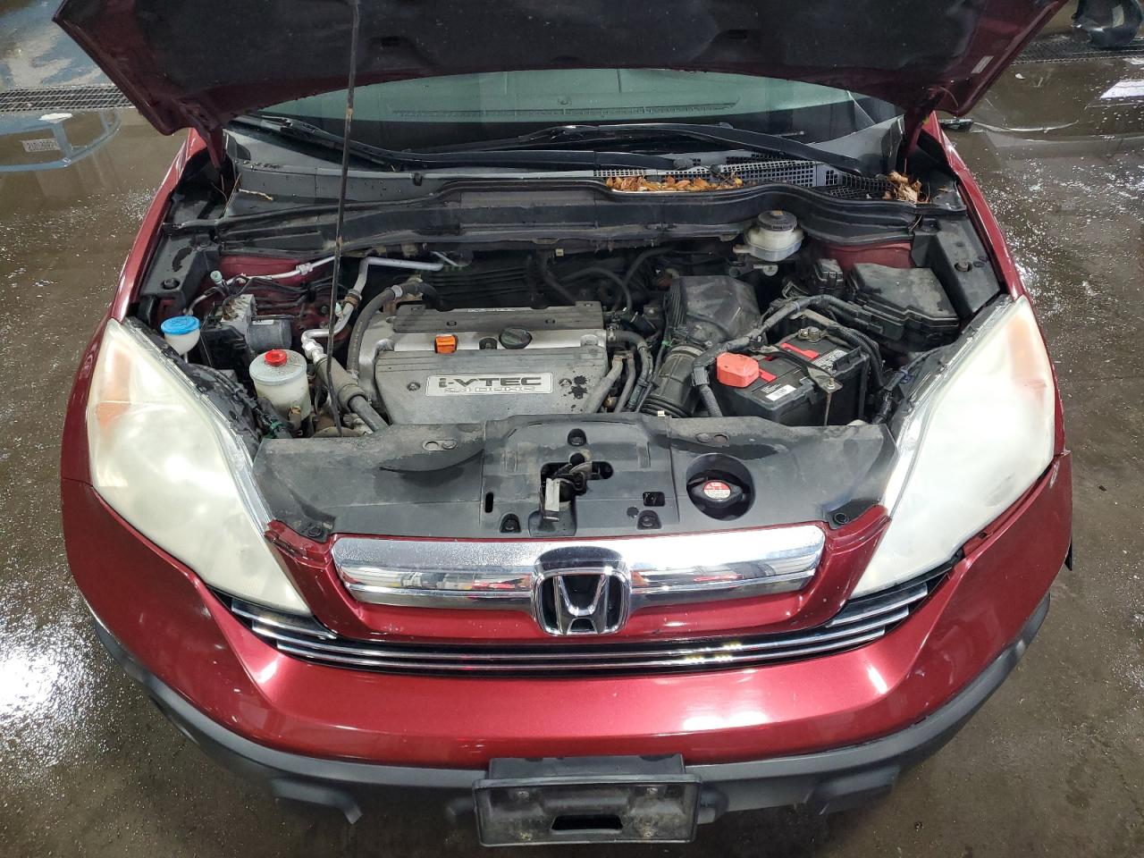 2009 Honda Cr-V Exl VIN: 5J6RE48719L056567 Lot: 56653105