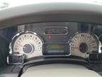 2013 Ford Expedition El Limited на продаже в Cedar Rapids, IA - Hail