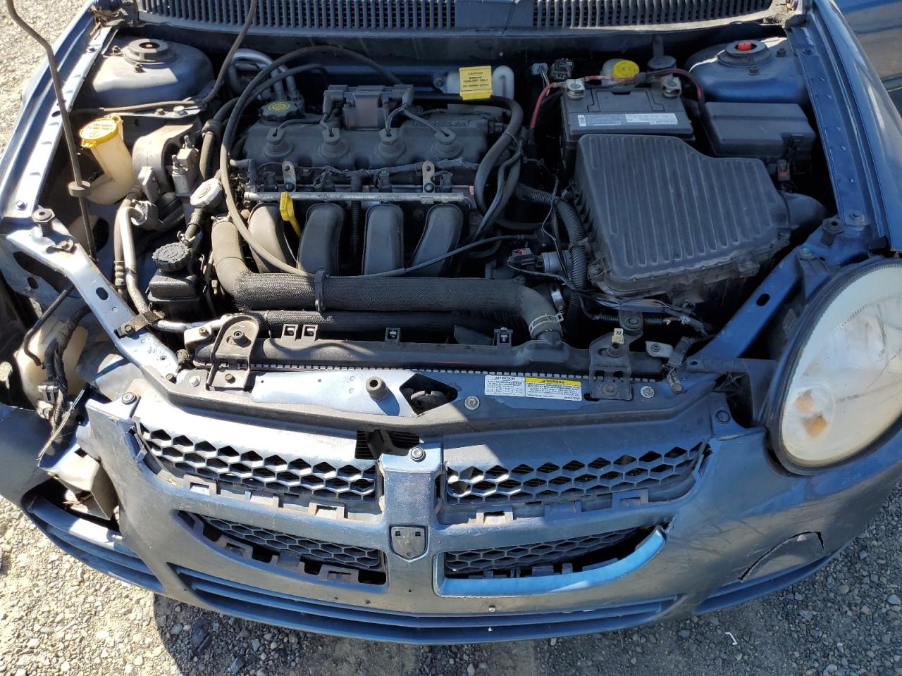 2003 Dodge Neon Sxt VIN: 1B3ES56C53D114234 Lot: 55606645