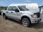 2014 Ford F150 Supercrew за продажба в East Granby, CT - Minor Dent/Scratches