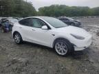 2024 Tesla Model Y  for Sale in Windsor, NJ - Front End