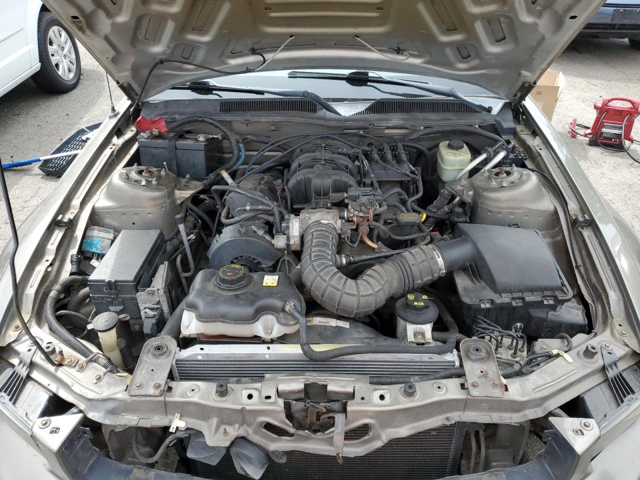 2005 Ford Mustang VIN: 1ZVFT84N855174556 Lot: 57481645