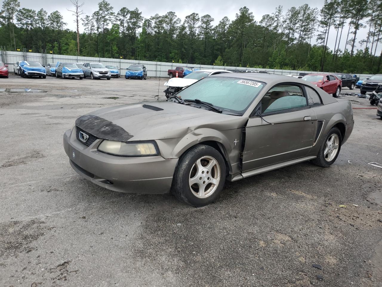 2002 Ford Mustang for Sale in Harleyville, SC - All Over