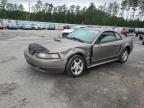 2002 Ford Mustang  for Sale in Harleyville, SC - All Over