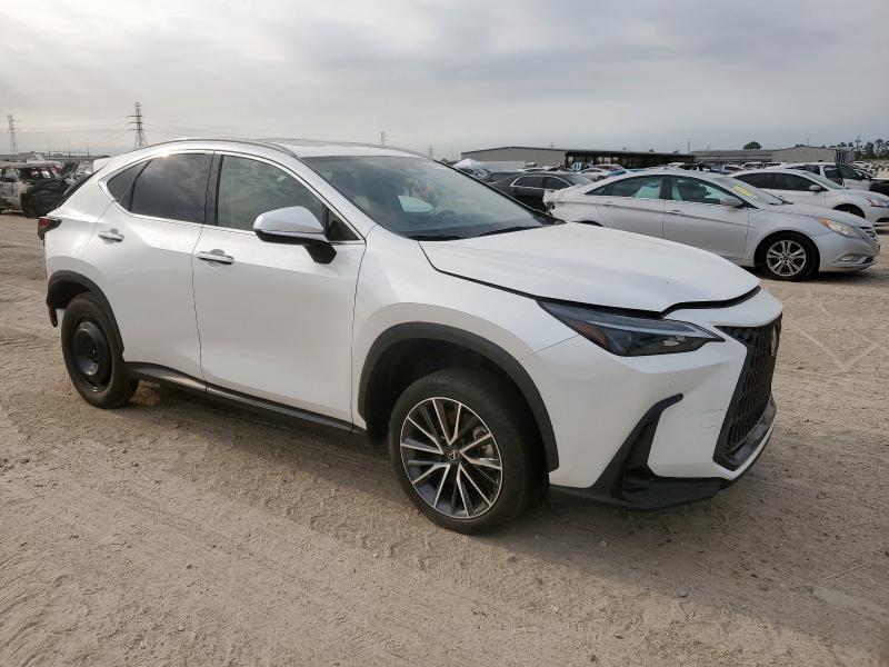  LEXUS NX 350 PRE 2024 Biały