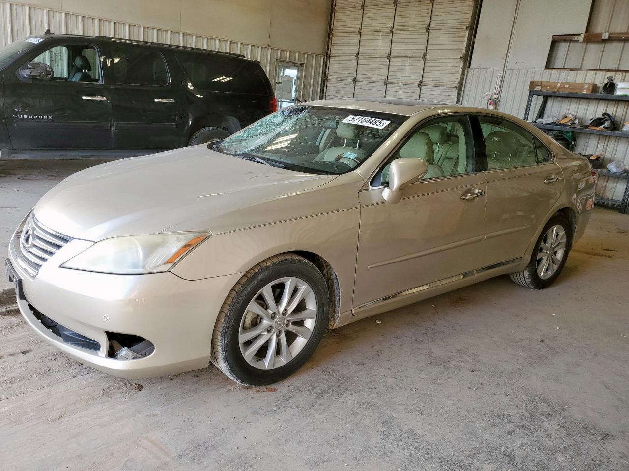 2010 Lexus Es 350 იყიდება Abilene-ში, TX - Front End