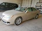 2010 Lexus Es 350 იყიდება Abilene-ში, TX - Front End