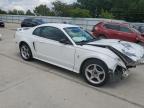 Gaston, SC에서 판매 중인 2003 Ford Mustang  - Front End