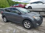 2013 Toyota Rav4 Xle de vânzare în Hurricane, WV - Hail
