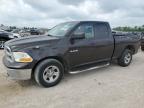 2010 Dodge Ram 1500  de vânzare în Houston, TX - Front End