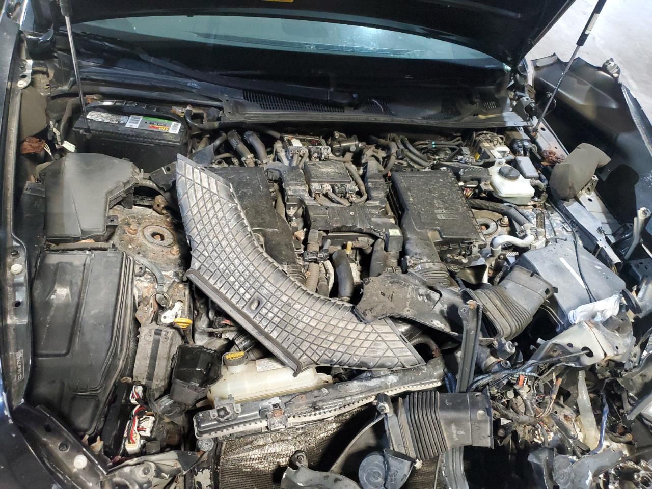 2007 Lexus Ls 460 VIN: JTHBL46F375048400 Lot: 55879835