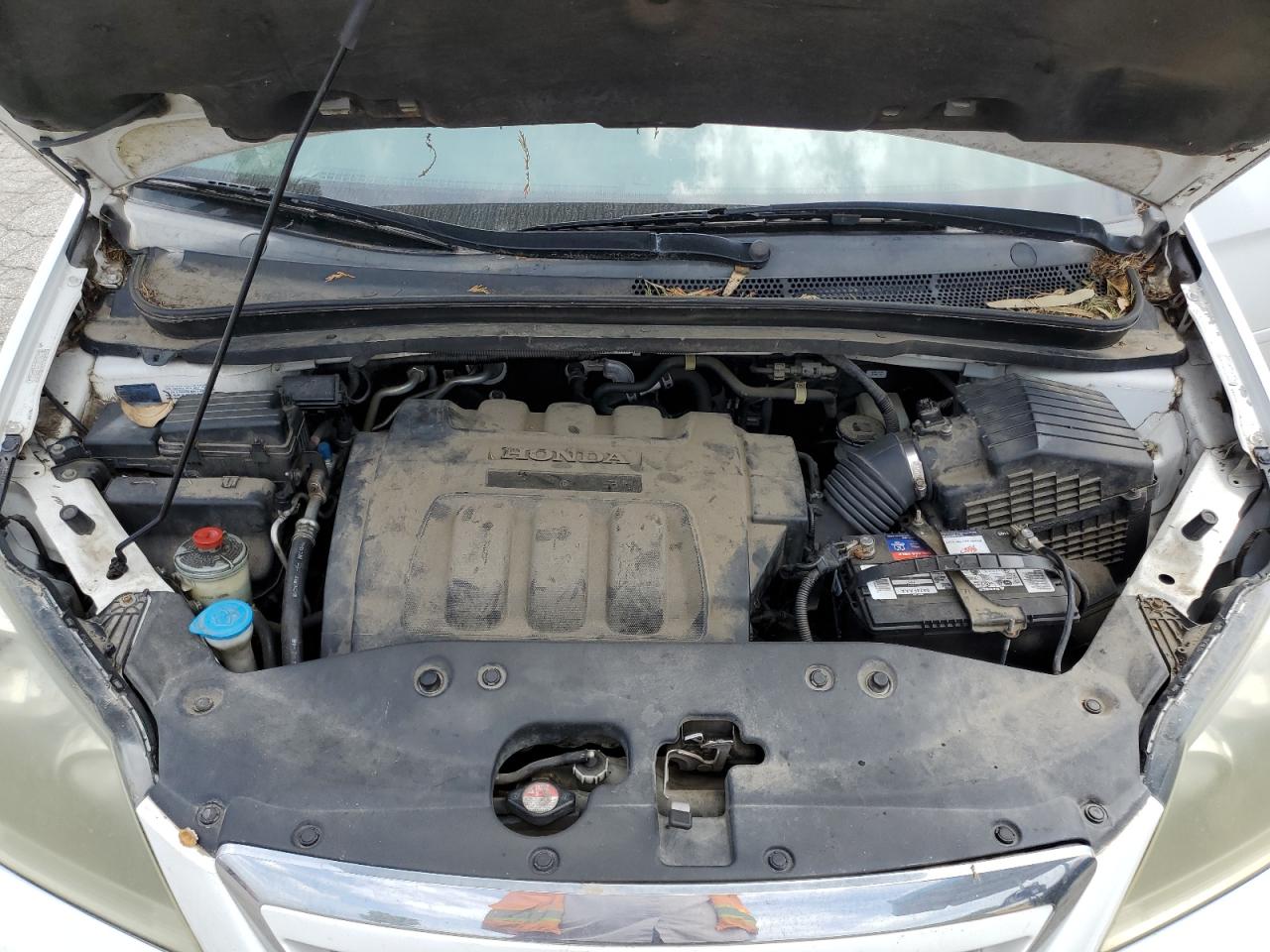 2007 Honda Odyssey Exl VIN: 5FNRL387X7B145317 Lot: 56540795
