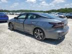 2020 Nissan Maxima Sv for Sale in Ellenwood, GA - Side