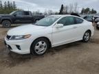2013 HONDA ACCORD EXL   à vendre chez Copart ON - TORONTO