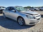 2009 Chevrolet Malibu 1Lt en Venta en Cahokia Heights, IL - Water/Flood