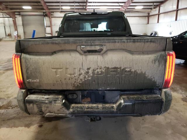  TOYOTA TUNDRA 2022 Green
