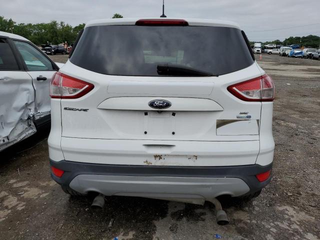 Паркетники FORD ESCAPE 2014 Белый