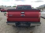 2014 Ford F150 Supercrew   იყიდება Earlington-ში, KY - Hail