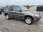2006 Ford Escape Xlt for Sale in Earlington, KY - Hail