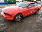 2009 Ford Mustang  for Sale in Brighton, CO - Minor Dent/Scratches