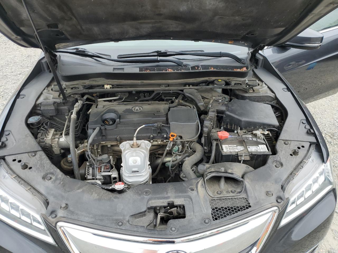2015 Acura Tlx VIN: 19UUB1F33FA019357 Lot: 56738955