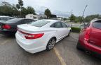 2016 Hyundai Azera  zu verkaufen in Apopka, FL - Minor Dent/Scratches