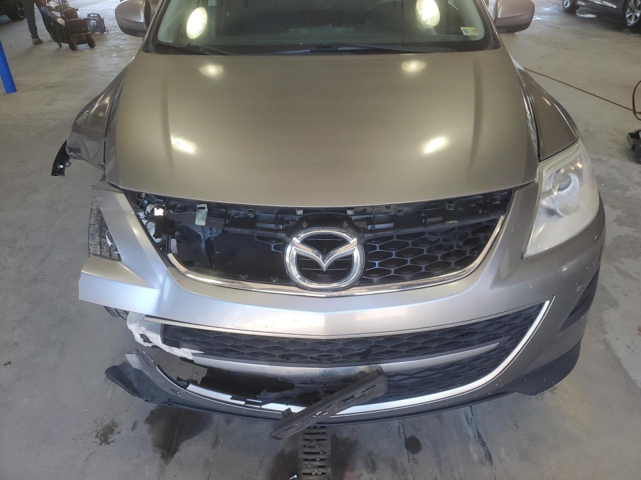 2010 Mazda Cx-9 VIN: JM3TB3MV4A0207014 Lot: 54718545