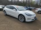 2020 TESLA MODEL 3  for sale at Copart ON - COOKSTOWN