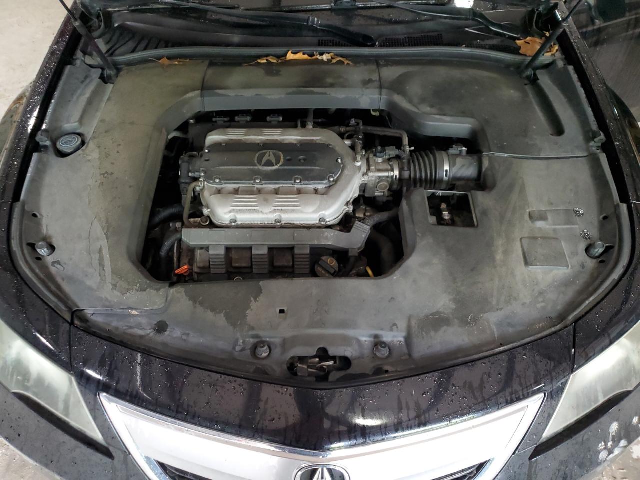 2012 Acura Tl VIN: 19UUA8F5XCA031840 Lot: 55850355