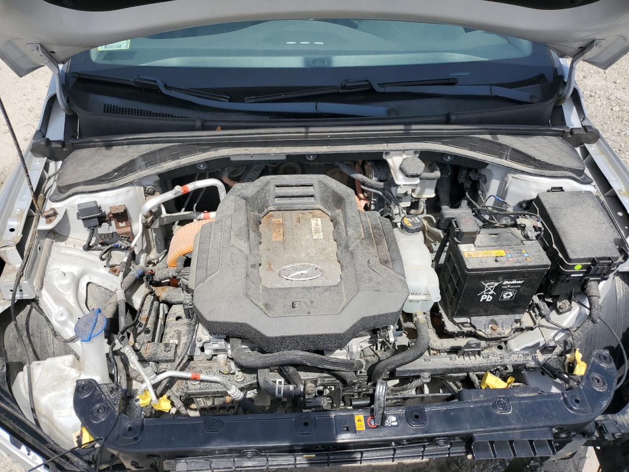 2019 Hyundai Ioniq VIN: KMHC75LH3KU049109 Lot: 56517145