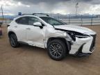 2024 Lexus Nx 350H Base იყიდება Colorado Springs-ში, CO - Front End