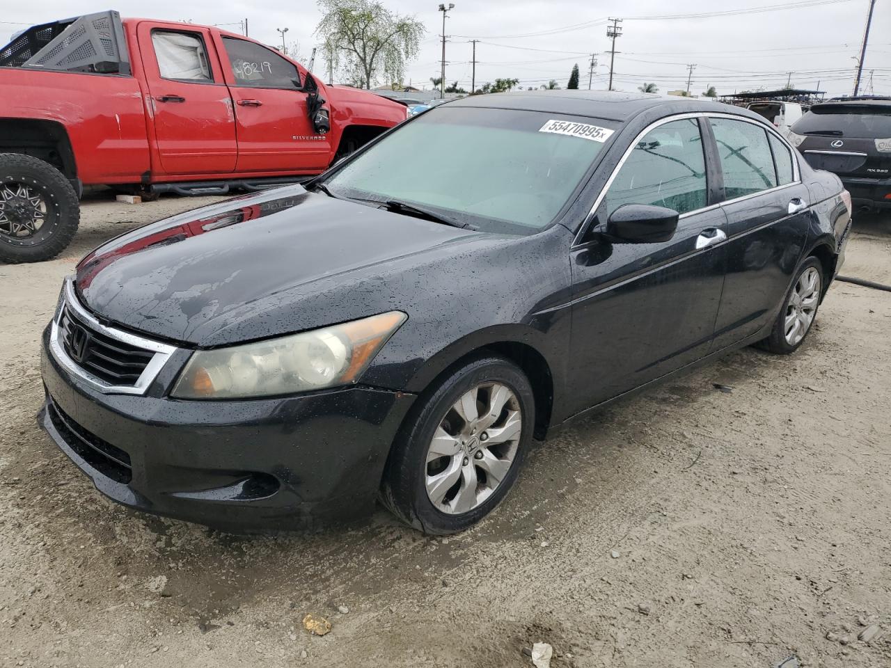 2008 Honda Accord Exl de vânzare în Los Angeles, CA - Front End