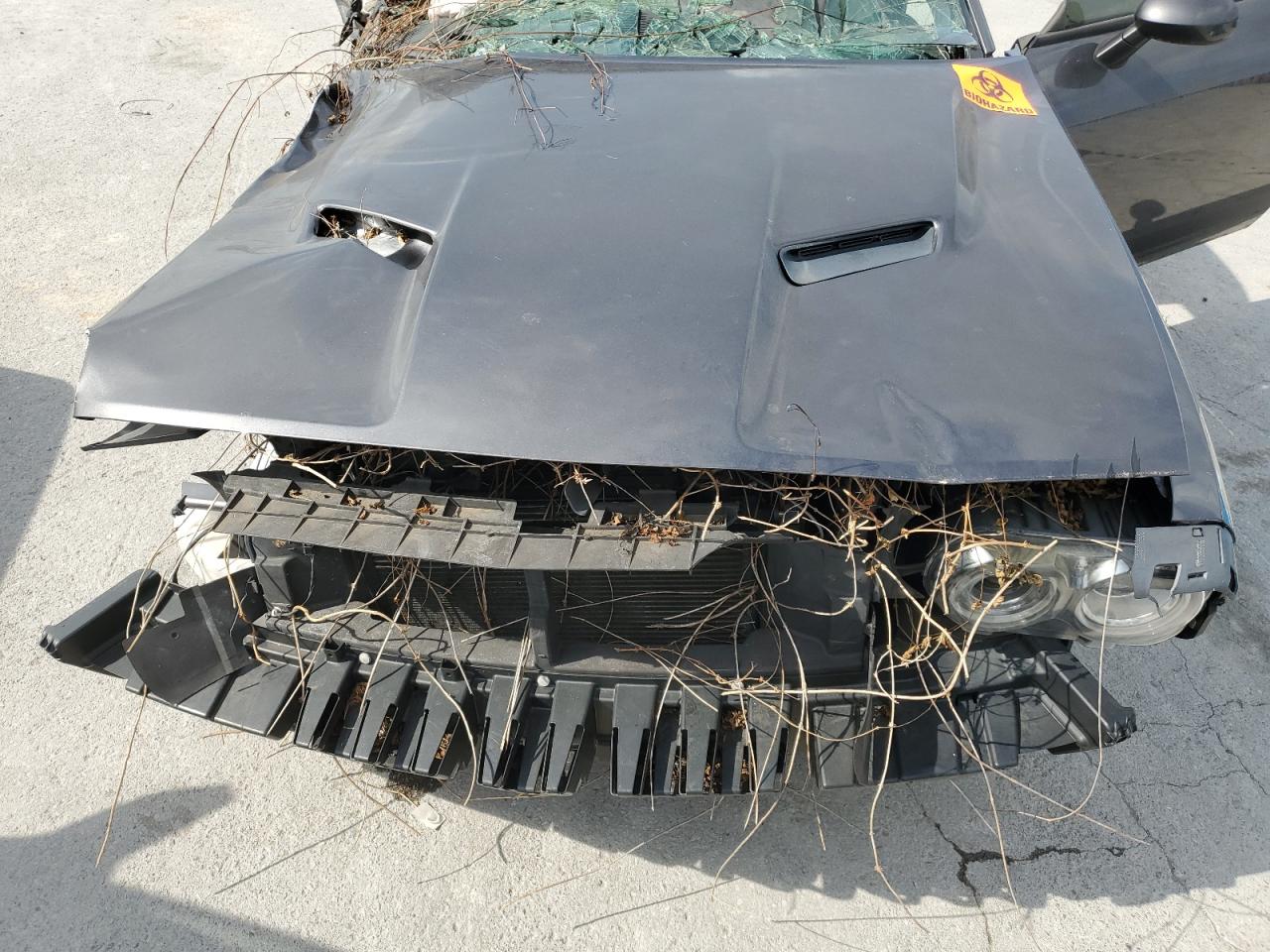 2017 Dodge Challenger Sxt VIN: 2C3CDZAG5HH659463 Lot: 82041655