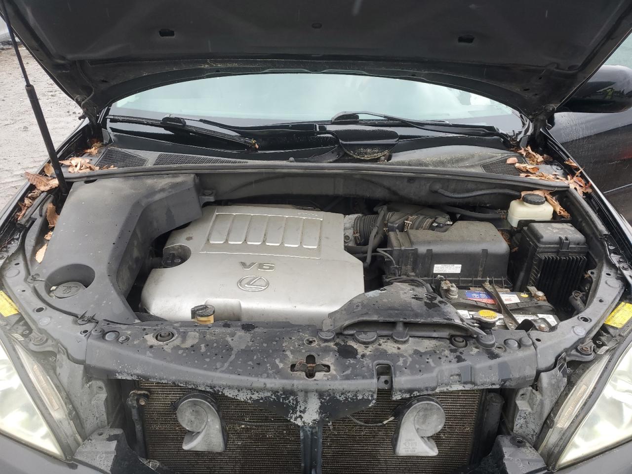 2007 Lexus Rx 350 VIN: 2T2HK31U37C036065 Lot: 56934485