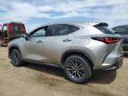 2023 Lexus Nx 350H   for Sale in Brighton, CO - Hail