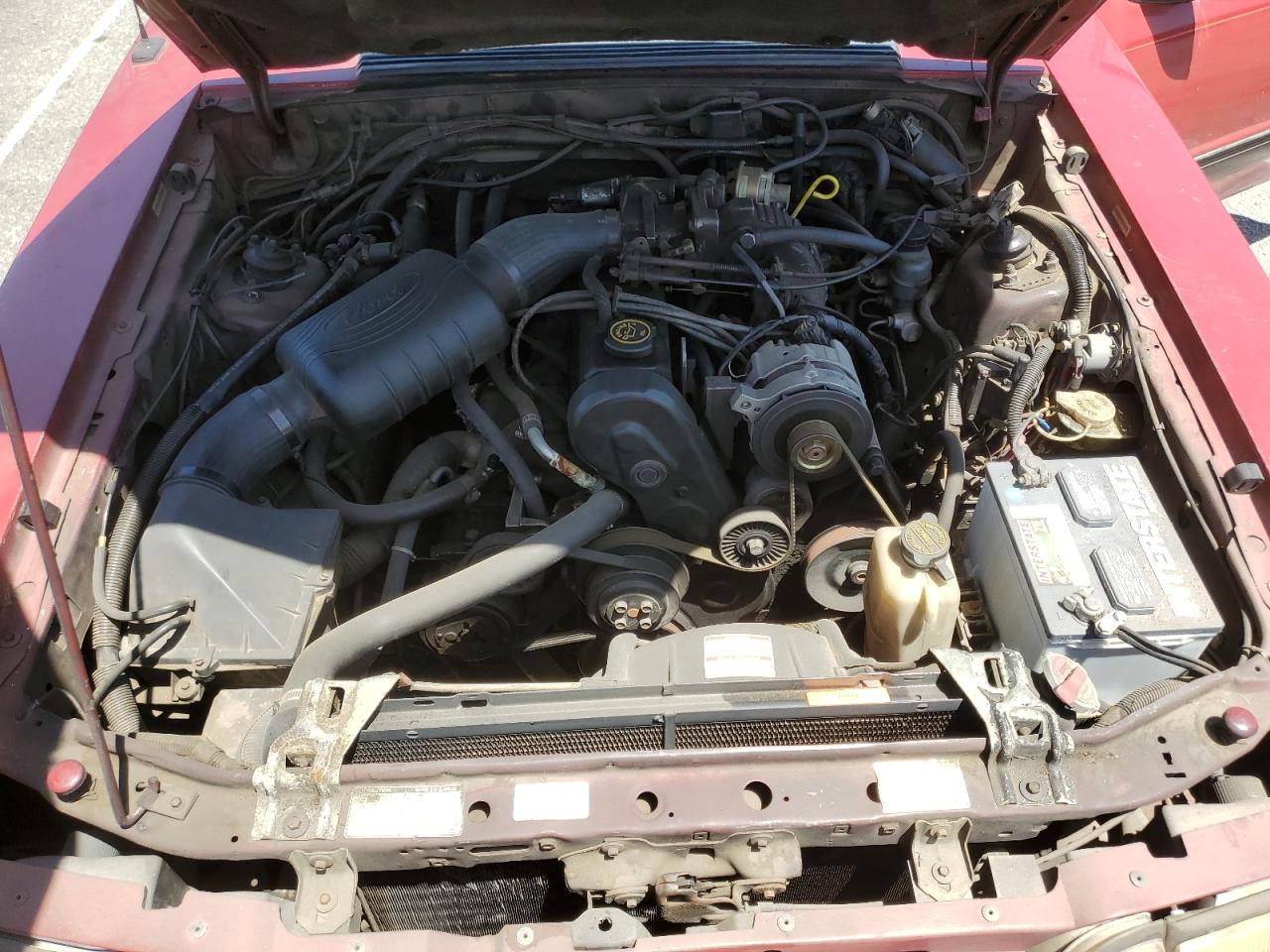 1988 Ford Mustang Lx VIN: 1FABP40A9JF257876 Lot: 56777285