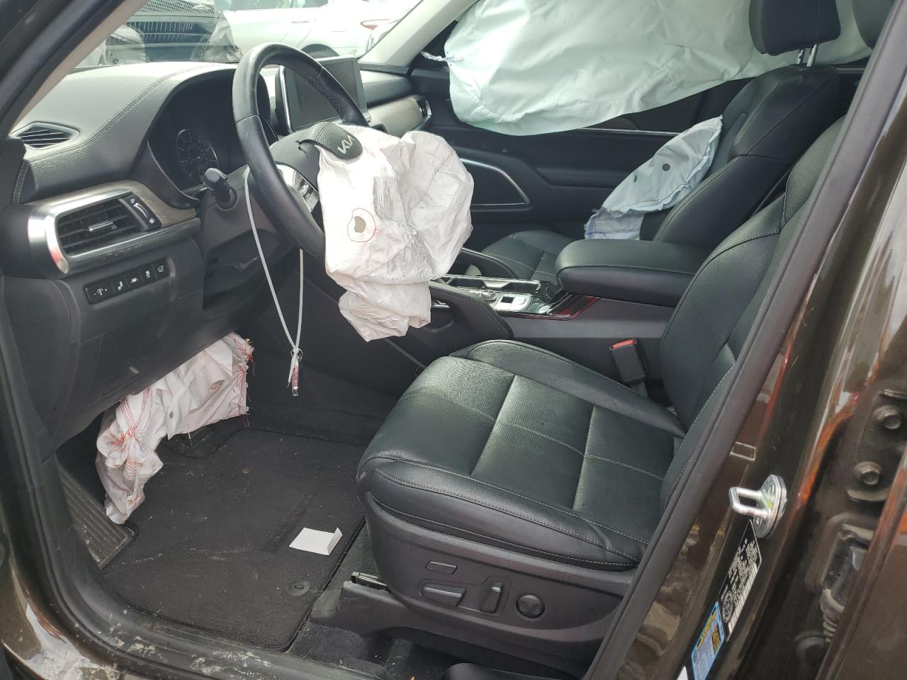 2022 Kia Telluride Sx VIN: 5XYP5DHC7NG254246 Lot: 59158355