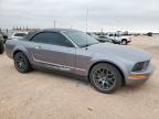 2007 Ford Mustang  for Sale in Andrews, TX - Side