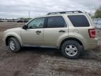 2010 Ford Escape Xlt იყიდება London-ში, ON - Side