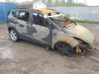 2013 FORD ESCAPE SE   for sale at Copart NB - MONCTON