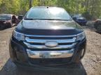 2013 FORD EDGE SEL à vendre chez Copart ON - COOKSTOWN
