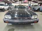 1988 Jaguar Xjs продається в East Granby, CT - Minor Dent/Scratches