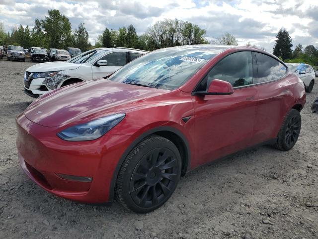TESLA MODEL Y 2024